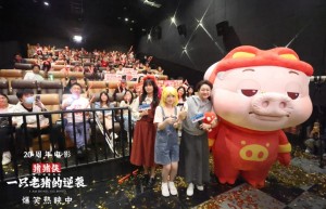 《猪猪侠·一只老猪的逆袭》超清版百度网盘迅雷资源国语版【BD720P/3.4G-MKV】