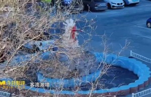 动画电影：文旅发展的新动力