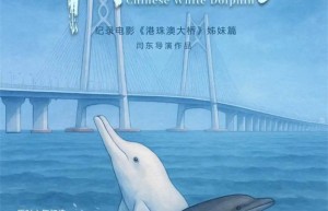 “中华白海豚”原型亮相！12月12日纪录电影全国上映