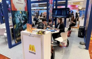 第26届新加坡亚视论坛”电影频道助力中国电影“走出去