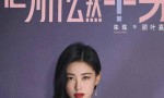 腾讯首播《他为什么依然单身》，霍建华、朱珠领衔主演！