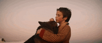 《忠犬帕尔玛》：一个感动数百万人的狗狗的故事