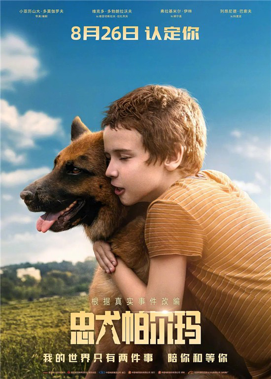 《忠犬帕尔玛》：一个感动数百万人的狗狗的故事