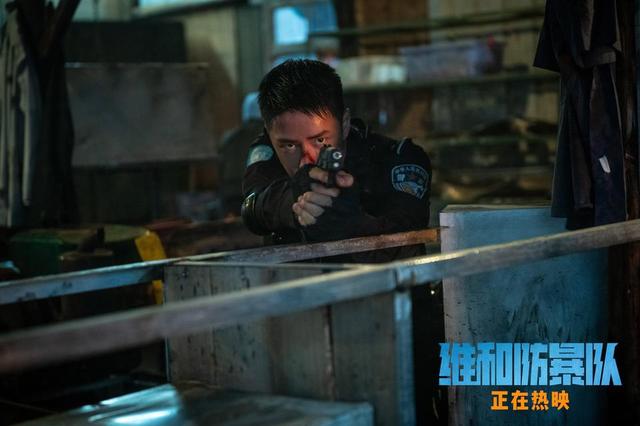《维和防暴队》抢先版国语中字迅雷资源下载阿里云盘「BD1080P/3.6G-MKV」-2