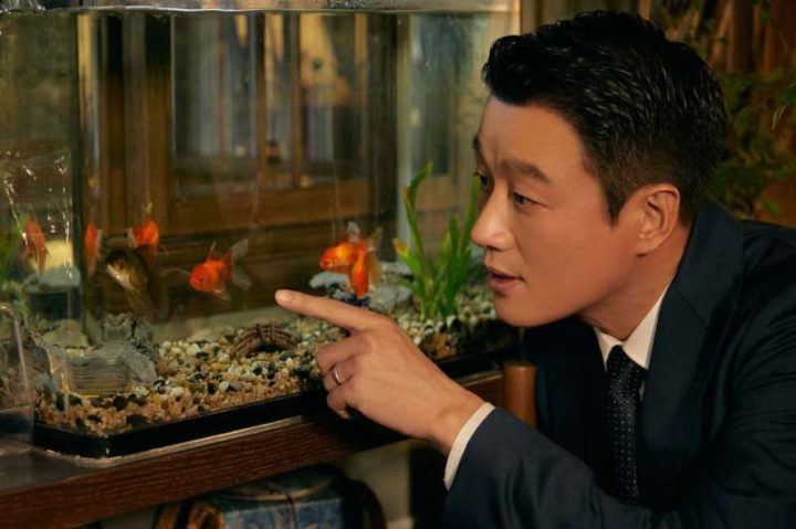 《玫瑰的故事》国语中字【HD720P1080P】迅雷资源在线看蓝光版百度云盘-2