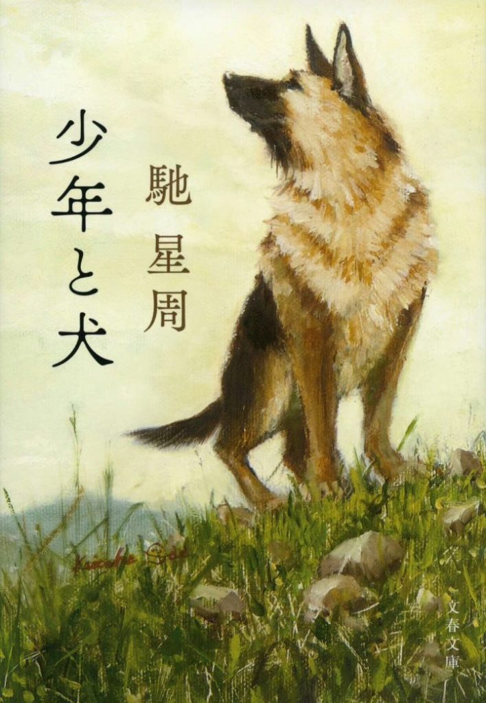 高桥文哉西野七濑W主演 《少年与犬》改编斩获直木奖