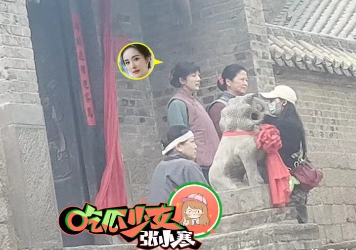 杨幂村妇造型频遭批评，一年三次出演相似角色，37岁该何去何从？-2