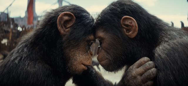 《猩球崛起4:新世界》抢先版「HD1280P/3.3G-MP4」国语版阿里网盘资源在线观看-1