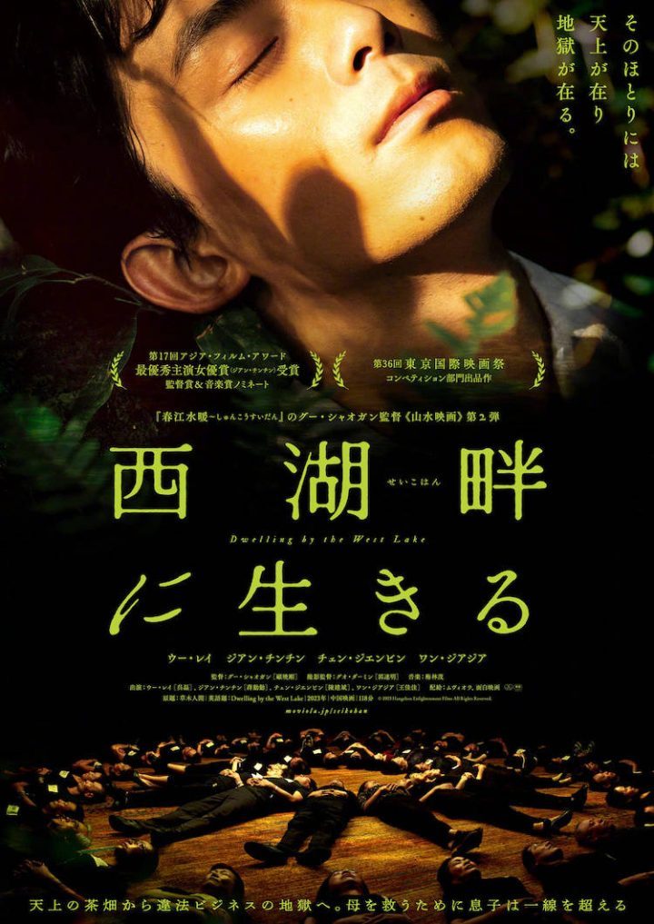 吴磊和蒋勤勤领衔主演电影《草木人间》，日本版预告日前发布，计划9月27日在日本上映-1