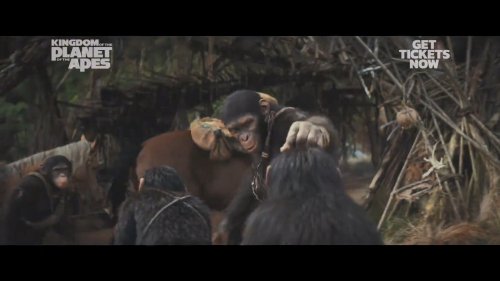 《猩球崛起4》原声版免费/加长版无修版（HD720P/3.9G-MKV）百度网盘独家资源上线-2