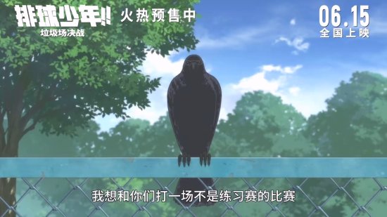 《排球少年:垃圾场决战》国语版迅雷资源种子下载（HD1080P/3.6G-MP4）百度网盘4k高清-2