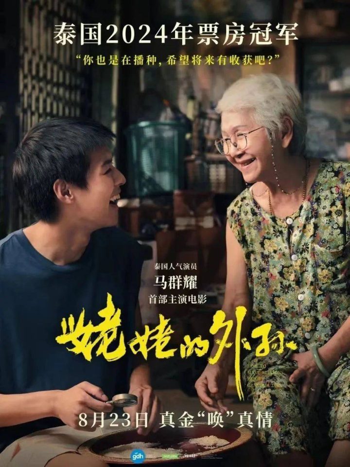 《姥姥的外孙》原声版百度云盘迅雷资源种子下载4k超清（HD720P/3.3G-MP4）-1