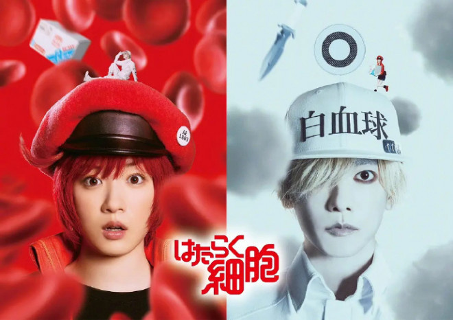 染谷将太等演员加盟真人版《工作细胞》，追加新细胞！-2