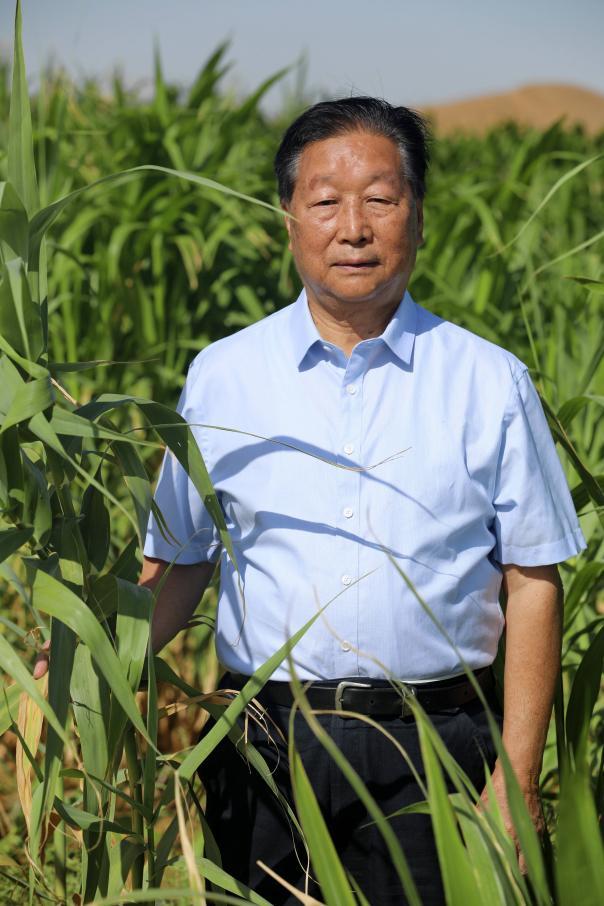 央视热播剧《幸福草》今日收官 温情援外颂歌持续传唱-2
