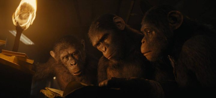 《猩球崛起4》（BD1080P/3.2G-MP4）抢先版迅雷资源在线看阿里云国语中字-2