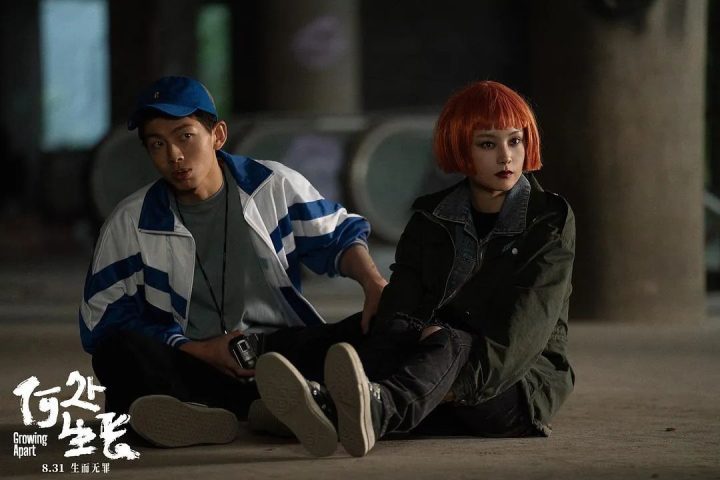 电影《何处生长》热映中，启程共同面对原生之痛向阳远行-2