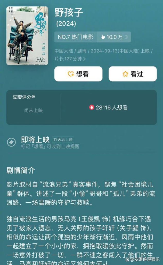 《野孩子》（BD1080P/3.8G-MP4）资源下载链接百度网盘超清晰版原声版