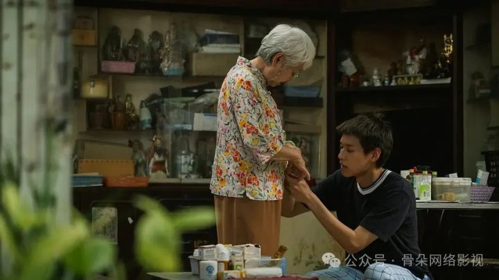 《姥姥的外孙》资源在线看国语版百度云网盘（BD1280P/3.9G-MP4）泄漏版-2