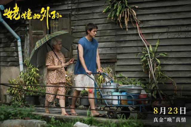 《姥姥的外孙》（HD720P/3.8G-MP4）国语版阿里网盘迅雷资源种子下载未删减完整版-1