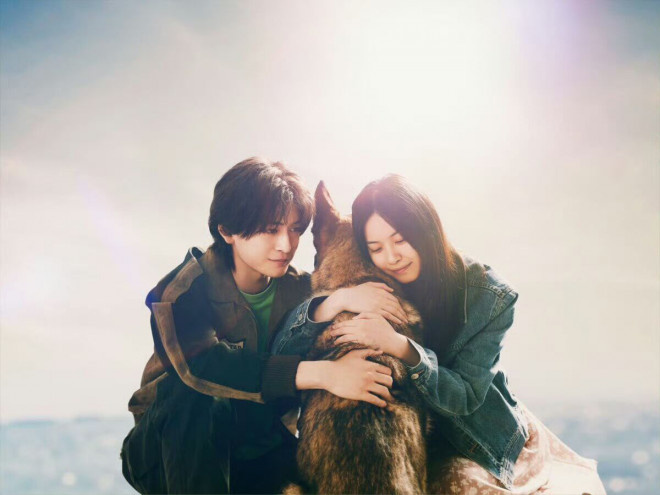 《少年与犬》预告发布，高桥文哉主演直木奖力作-2