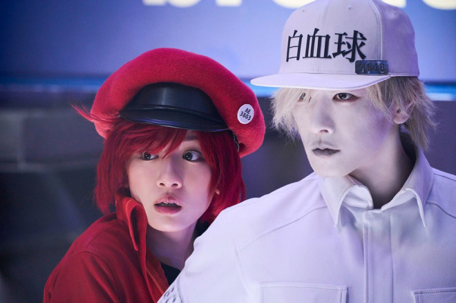 佐藤健现场演绎《工作细胞》血小板收获萌力-2