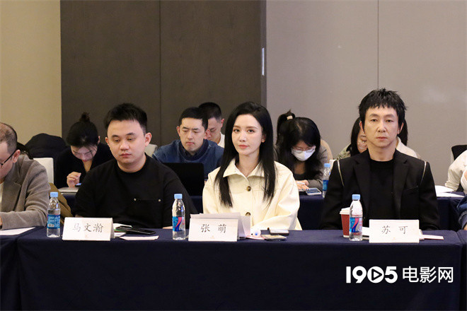 专家讨论《开演!短剧季》促进短剧产业发展-2