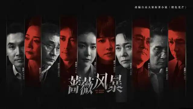 《蔷薇风暴》：百姓视角看金融发展轨迹-1