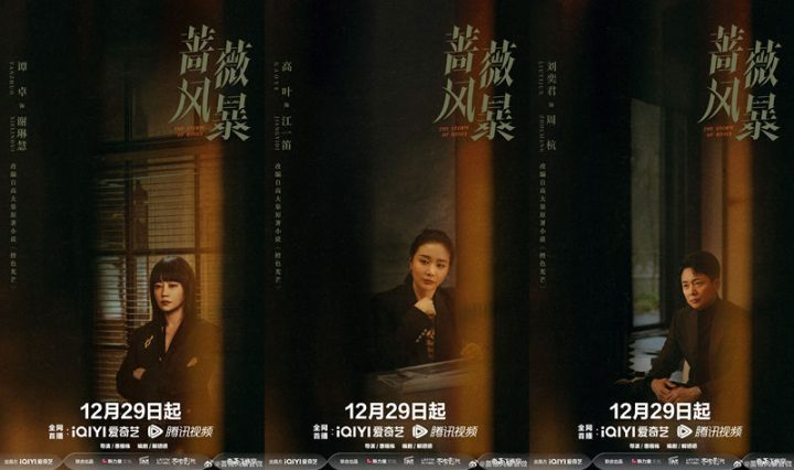 《蔷薇风暴》主演谭卓、高叶、刘奕君，12月29日开播-1