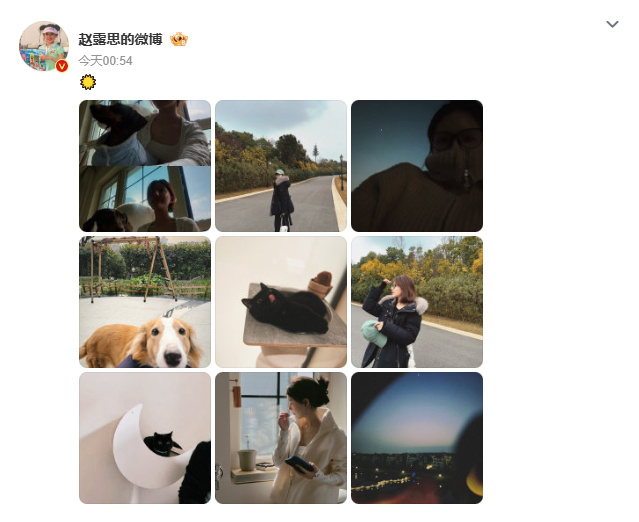 赵露思凌晨分享复工前猫狗修养经验-1