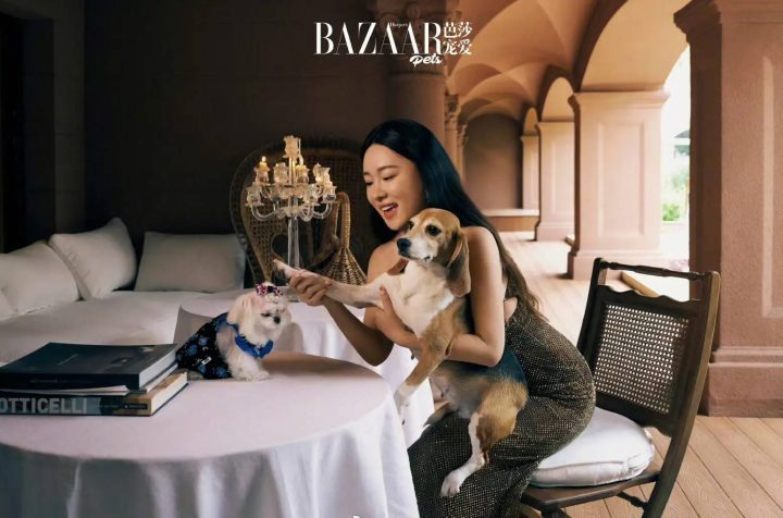 杜江霍思燕捡到实验犬“珍珠”，荣获年度和平精神奖-1