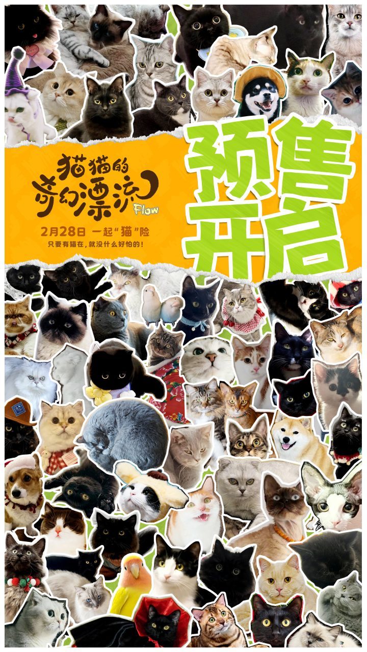 《猫猫的奇幻漂流》百度云网盘国语版泄漏版资源分享（BD720P/3.9G-MP4）-2