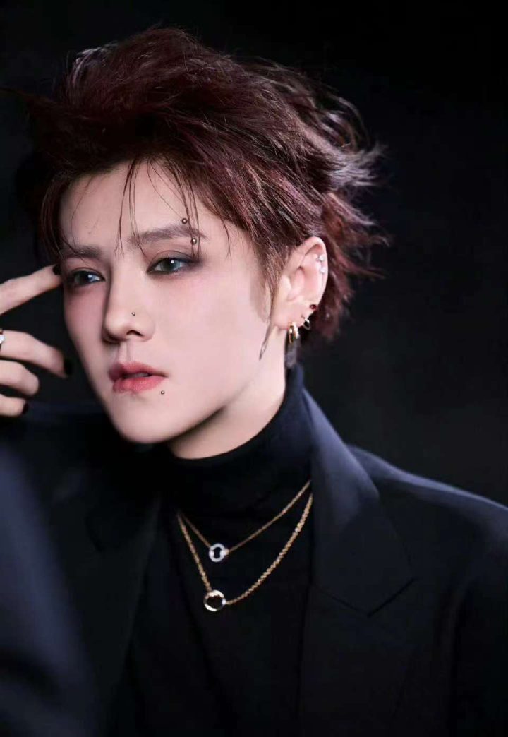 鹿晗工作室《维权声明》：诉讼程序启动-2