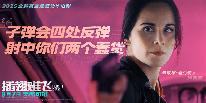 《插翅难飞》迅雷资源BT种子国语版【BD1080P/3.9G-MKV】手机版阿里云-2