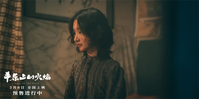 《平原上的火焰》国语中字阿里云资源下载（HD1080P/3.4G-MKV）加长版-1