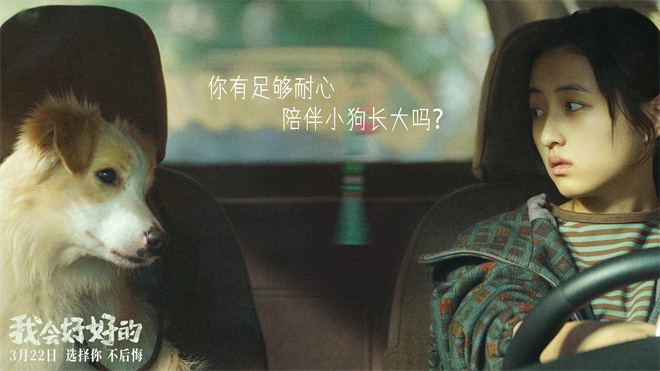 3月22日上映：张子枫《我会好好的》萌宠温情-3