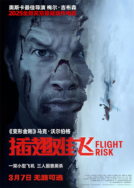 《插翅难飞》「BD720P/3.9G-MKV」迅雷资源在线看TC版阿里网盘国语版-1