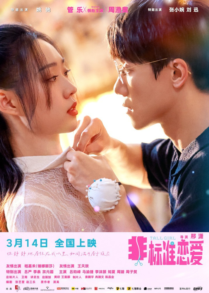 《非标准恋爱》未删减版百度网盘【HD1080P/3.3G-MKV】资源下载链接原声版-1