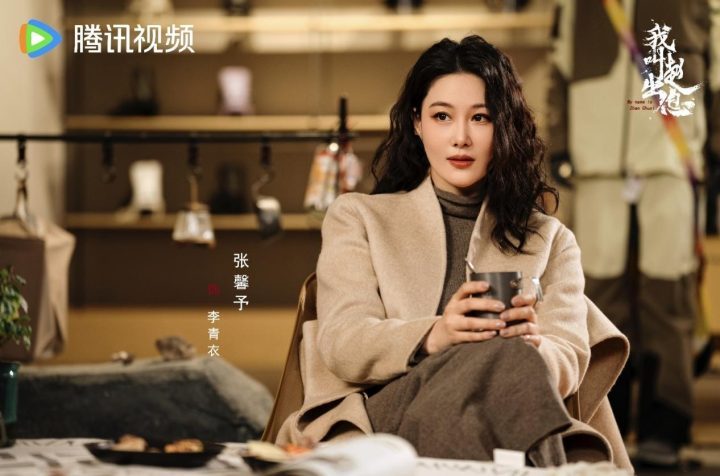 《我叫赵出息》泄漏版原声版阿里网盘（BD720P/3.6G-MKV）magnet磁力链接资源-1