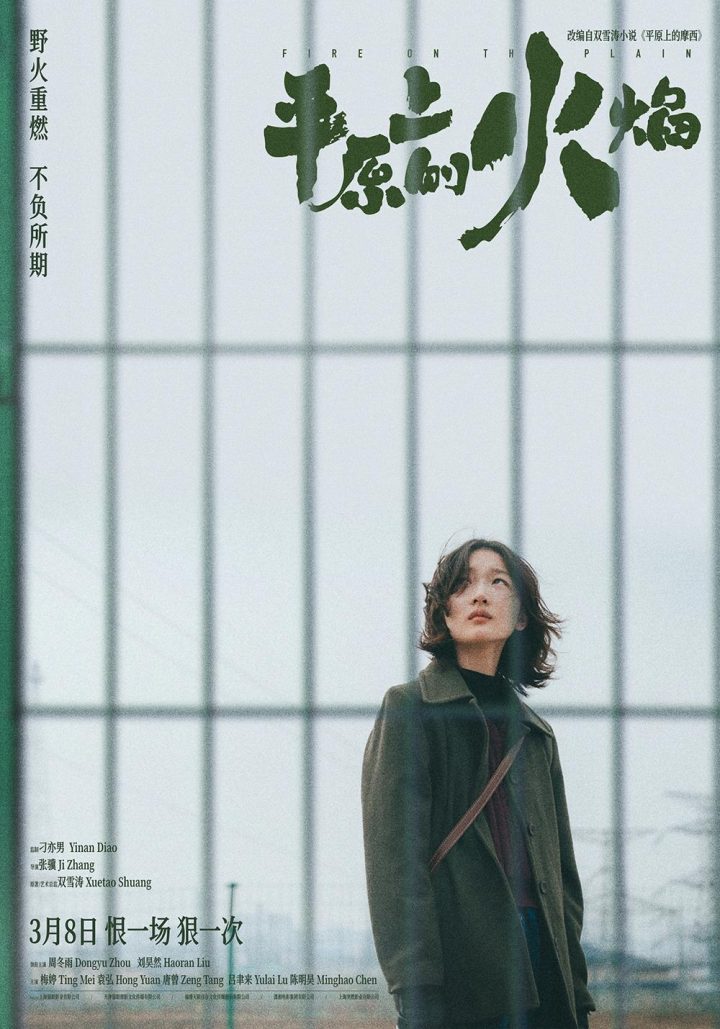 《平原上的火焰》抢先版迅雷资源BT种子百度网盘国语中字【HD1080P/3.3G-MKV】-1