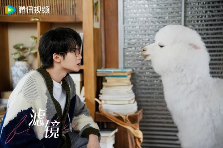 《滤镜》国语版百度云盘未删减版（BD1080P/3.9G-MP4）迅雷资源在线看-3