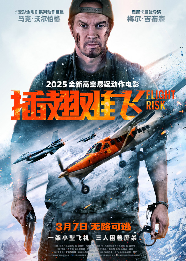 《插翅难飞》【BD1080P/3.8G-MKV】阿里云国语版无剪切版资源下载链接-1