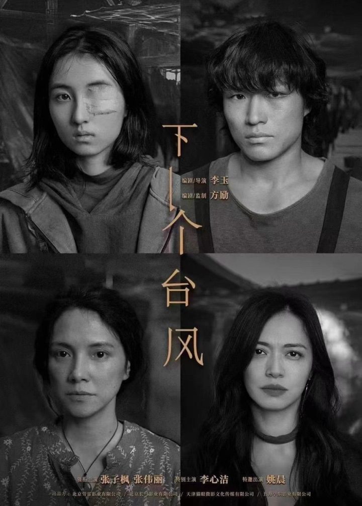 《下一个台风》阿里云4k高清国语版资源在线观看【HD720P/3.6G-MP4】-1