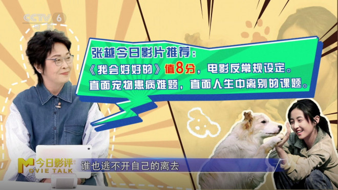 张子枫：《我会好好的》生命告别必修课-3