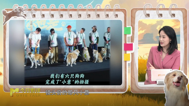张子枫：《我会好好的》生命告别必修课-5