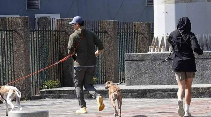 彭于晏新恋情传闻遭经纪人否认：“仅遛狗之交”-1