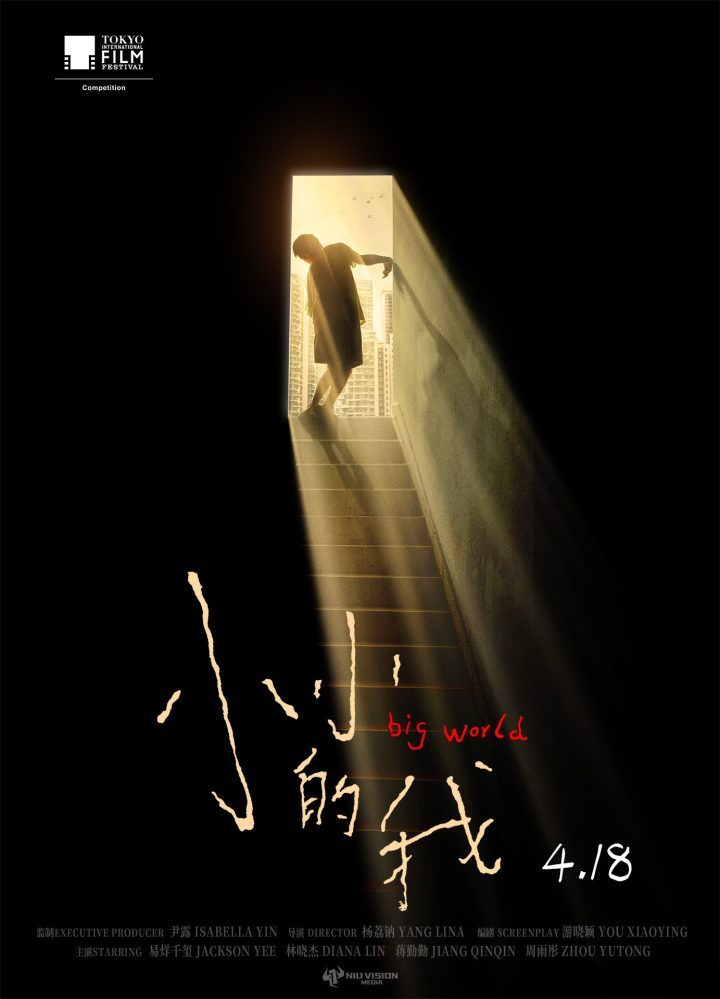 《小小的我》阿里云【BD1080P/3.8G-MKV】原声版未删减版magnet磁力链接资源-1