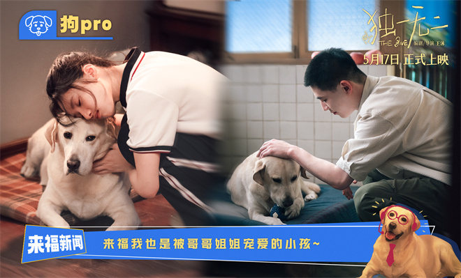 《独一无二》网盘迅雷资源BT种子「HD1280P/3.9G-MP4」国语版未删减版-1