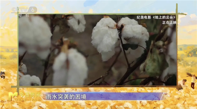 《地上的云朵》无剪切版国语中字百度网盘（HD1280P/3.3G-MP4）资源在线看-4