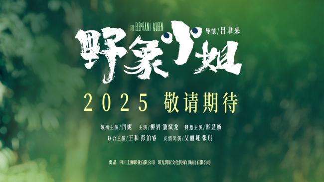 《野象小姐》预告发布 闫妮彭昱畅首演母子情深-1