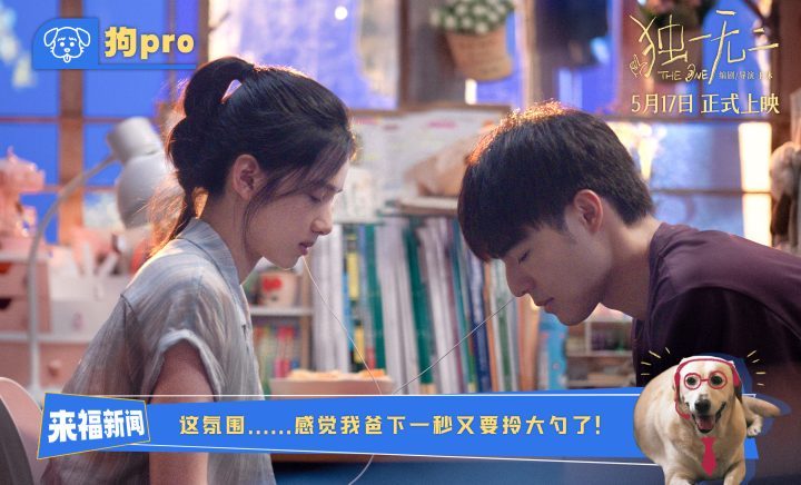 《独一无二》特辑“狗pro”揭秘：张婧仪辛云来兄妹新“瓜”-2